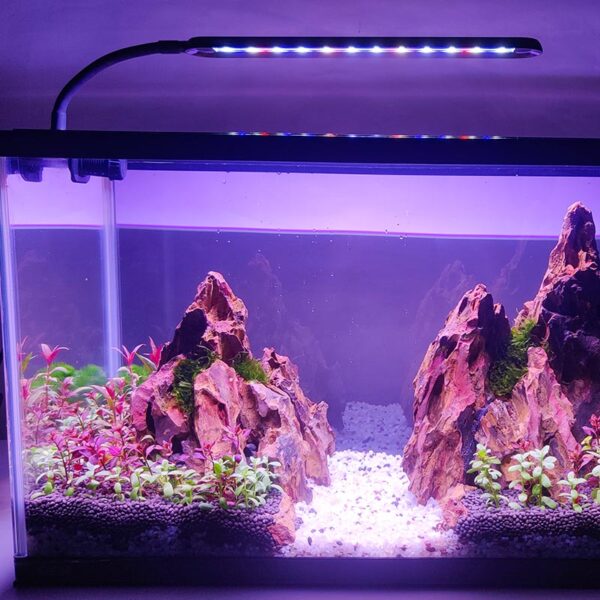 Clip-on Aquarium Light