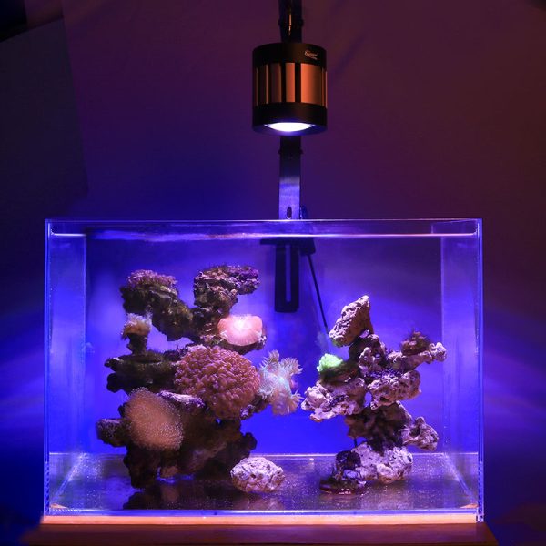 Reef LED Aquarium Light (HG107-50W)