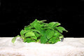 Anubias Nana Petite
